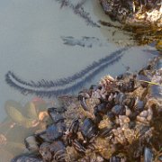 2014-01-17 PointReyesCamping 013 : 2014-01-17_PointReyesCamping